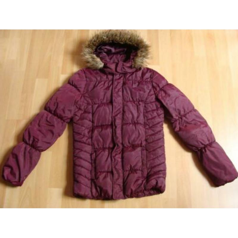 Paarse winterjas