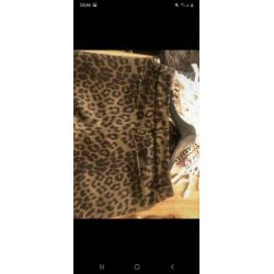 Luipaard broek my jewellery maat M groen zwart