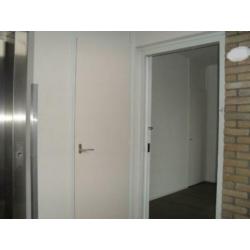 Te huur: een net 4 kamer-appartement in de wijk de Wijert