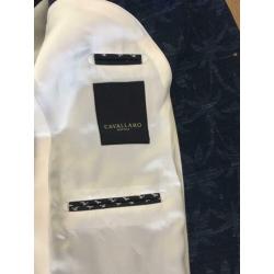 Cavallaro colbert maat 52