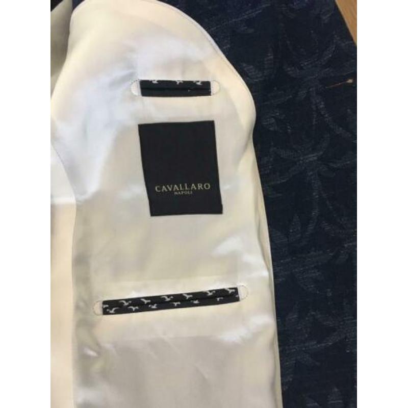 Cavallaro colbert maat 52