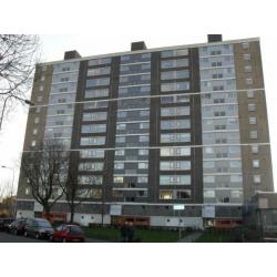 Te huur: een net 4 kamer-appartement in de wijk de Wijert