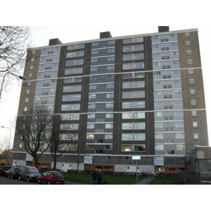 Te huur: een net 4 kamer-appartement in de wijk de Wijert