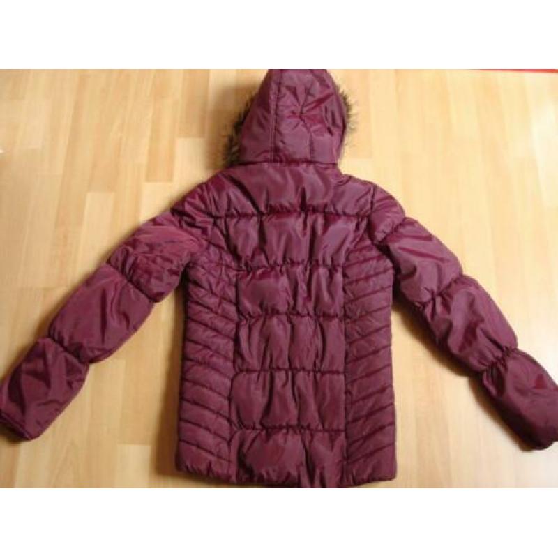 Paarse winterjas