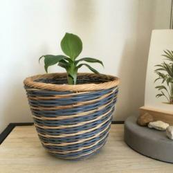 Bananenplant in gevochten mandje. ??