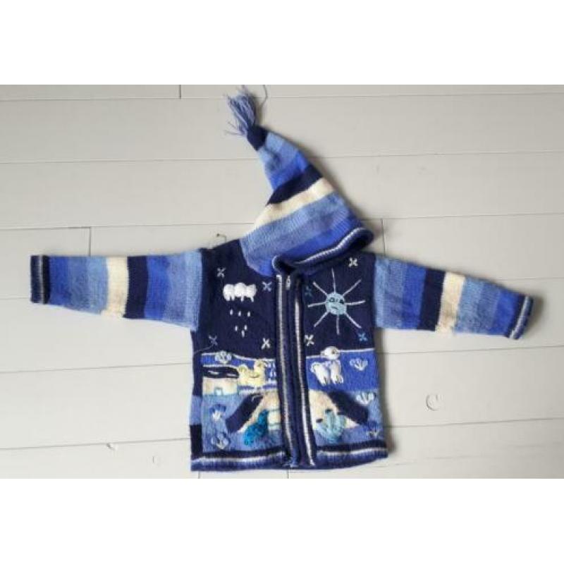 Bodywarmer paars.