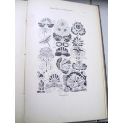 De plant in hist. stijlen en deco. kunst-J.Kuijper-1910