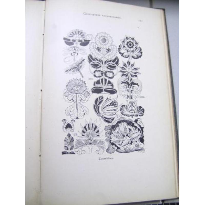 De plant in hist. stijlen en deco. kunst-J.Kuijper-1910