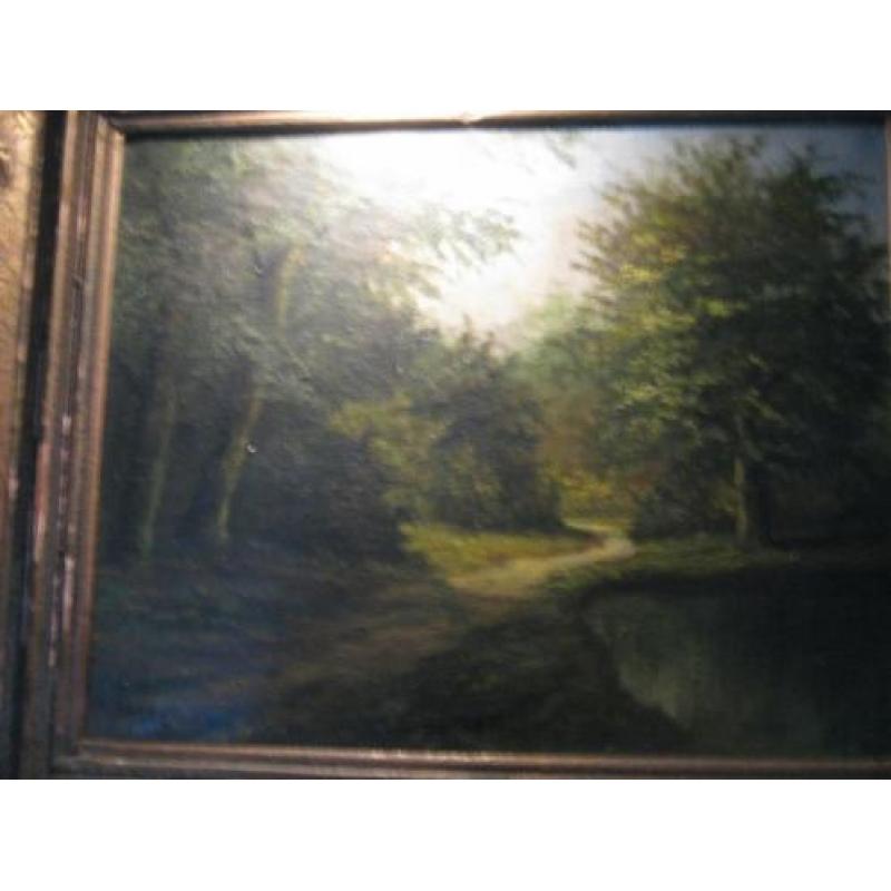 Schilderij Bos met ven.