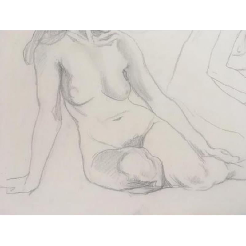 Naaktmodellen