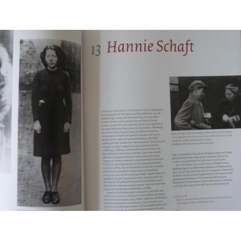 Geschiedenis van Nederland 1940-1945 van David Barnouw