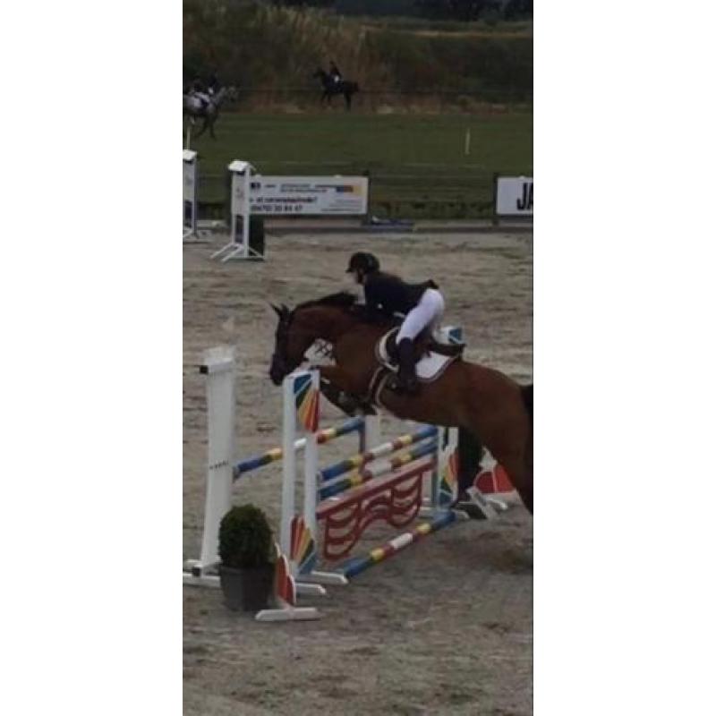 Fijn springpaard