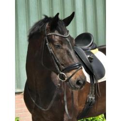 Te koop jonge paarden