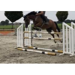 Fijn springpaard