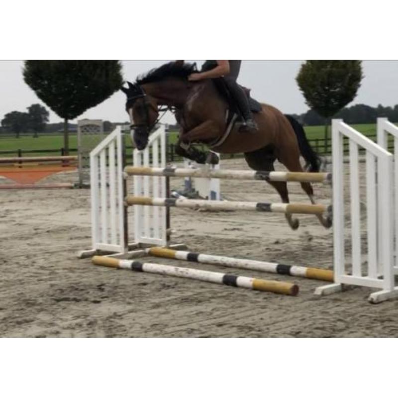 Fijn springpaard