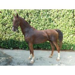 Mooie tuig/men paarden (marathonwagen Hans Meijer)