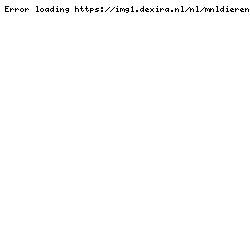 Prachtige Friese merrie // Fries stamboekpapier