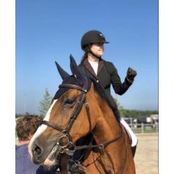 Fijn springpaard