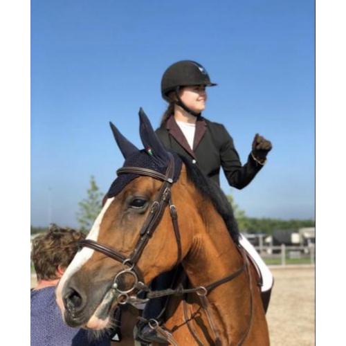 Fijn springpaard
