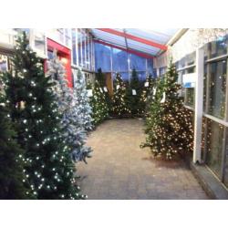 Led Kerstboom 185 cm / Groen (showmodel) kerst 123