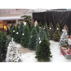 Led Kerstboom 185 cm / Groen (showmodel) kerst 123