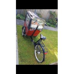 Zeer goede, complete en mooie Babboe Big bakfiets te koop!