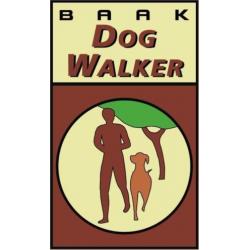 DogWalker wandelschoen "LINES" Styled by Grisport maat 47